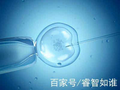 冷冻存储